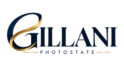 gillani photostate logo transparent